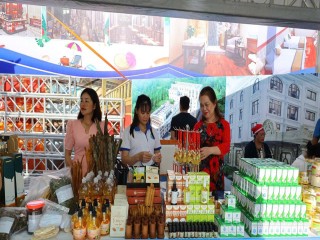 Hội nghị Kết nối Giao thương, Trưng bày và Giới thiệu Sản phẩm Dược liệu 2025